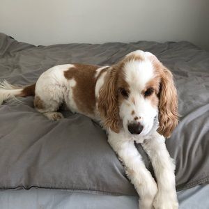 Meet your Posher, Kerry